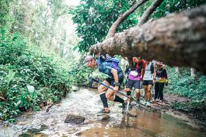 BIB: 
                            <button type="button" onclick="openModal(25373489)" class="btn btn-primary btn-sm float-right btn-popup" data-toggle="modal" data-target=".modal-high-quality">
                        <i class="fas fa-shopping-cart"></i> Add to Cart
                    </button>
                                            <button type="button" onclick="isThisMe(25373489, true)" class="btn btn-success btn-sm float-right btn-popup btn-isme hidden" data-toggle="tooltip" data-placement="bottom" title="นี่คือรูปของคุณใช่ไหม คลิกที่นี่เพื่อเอาเข้าอัลบั้ม">
                        <i class="fas fa-plus"></i> Add to album
                    </button>
                    <button type="button" onclick="isThisMe(25373489, false)" class="btn btn-warning btn-sm float-right btn-popup btn-isnotme hidden">
                        <i class="fas fa-ban"></i> Remove from album
                    </button>